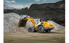 Liebherr L 550